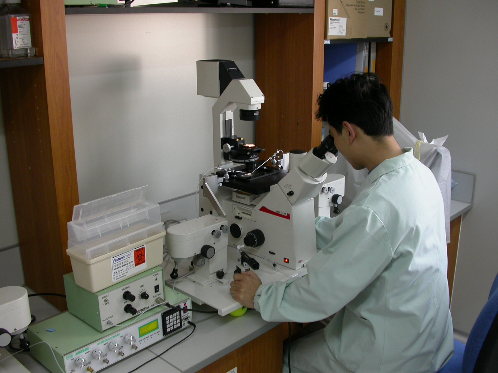 A graduate student performing pronuclear injection to create transgenic mice.
